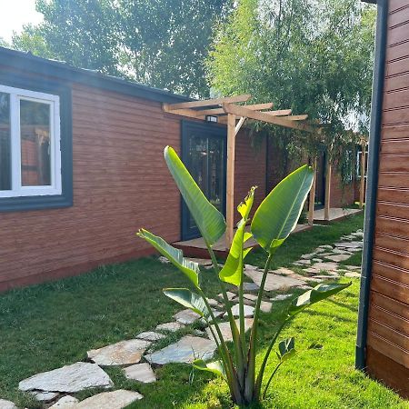 Hotel Seaside Bungalow Town Antalya Exterior foto